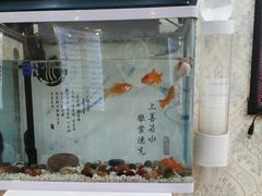 -郑远元专业修脚房(双浦路店)