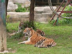-常州淹城野生动物世界