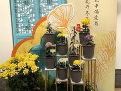 -小榄人家酒楼(民安店)