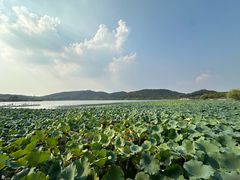 -南北湖风景区