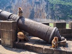 -白帝城·瞿塘峡景区