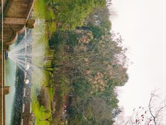 -峙山公园