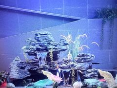 -陆琴脚艺·足浴·SPA(夫子庙店)