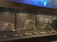 -北京周口店北京人遗址博物馆
