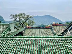 -鼎湖山风景区