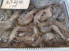 -红月湾海鲜饭店•沙滩海景(双月湾店)
