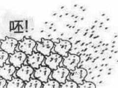 -中国电信(大钟亭营业厅)