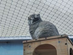 -青藏高原野生动物园