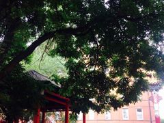 -曼彻斯特中国城
