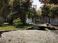 -莲花岛景区