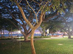 -东海岸人工湖美食村