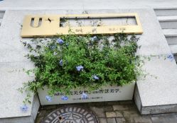 -Dr.U博士医疗美容医院