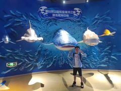 -烟台海昌鲸鲨海洋公园
