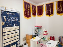 -程氏苗堂苗技养生