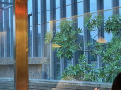 -蛙小侠(珠海华发商都店)