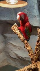 -Zoolung Zoolung动物主题公园(海信广场店)