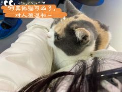 -极木²邸 人与宠物·互动社区