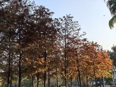 -金砂公园