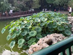 -宣武艺园