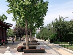 -大雁塔北广场音乐喷泉