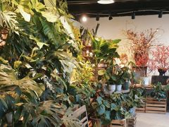 -自由生长植物工作室(深港花卉中心店)