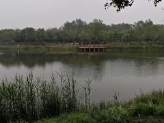 -东郊湿地公园