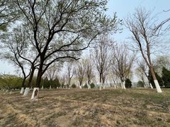 -永定河休闲森林公园