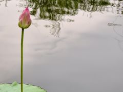 -渭滨公园