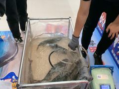 -万达广场(北京槐房店)