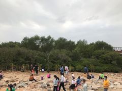 -宝安西湾红树林湿地公园