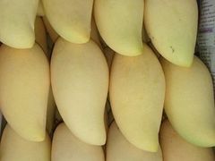 -东方鼎信农副产品交易中心