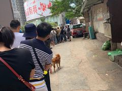 -六广门毛阿姨糯米饭