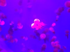 -常州海昌海洋探索馆