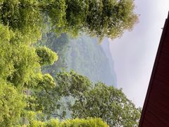 -虹口漂流