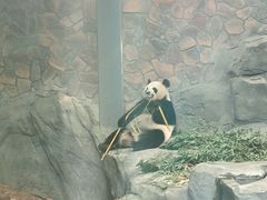 -红山森林动物园