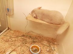 -龙猫仔乐园(惠福东路店)