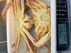 -本达人海鲜烧烤·朝鲜族风味(发展店)