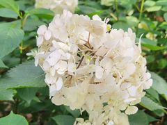 -常州古运河南大街文化旅游区-人民公园