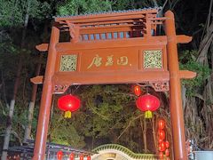 -侨美·唐荔园·40年地道粤菜