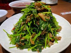 -蓝田印象