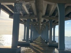 -宝安西湾红树林湿地公园