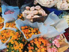 -循礼门鲜花花市(武汉循礼门店)