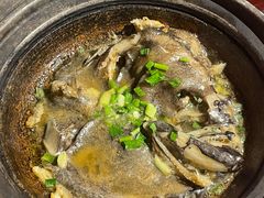 -好爸爸(印象城旗舰店)
