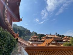 -深圳仙湖植物园
