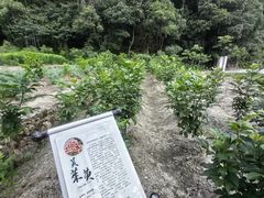 -世间香境·七溪地