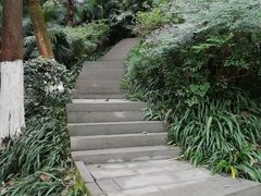 -重庆彩云湖湿地公园
