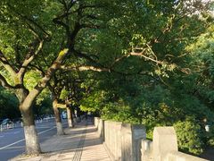 -闸弄口(地铁站)