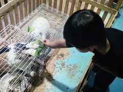 -嘉兴海底世界