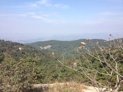 -鲁山国家森林公园