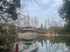 -习家池